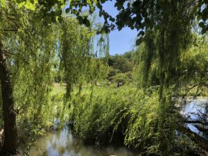 Humboldt Park, September 5, 2020