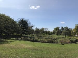remote in person Humboldt Park, September 12, 2020