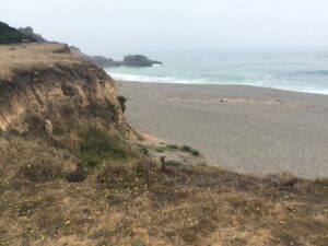 Gualala Point California, August 20, 2018