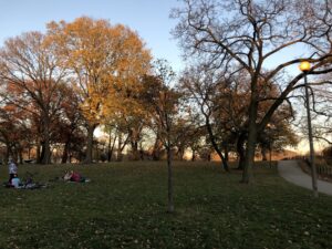 Humboldt Park, November 7, 2020