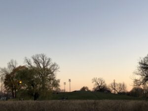 Humboldt Park, November 7, 2020