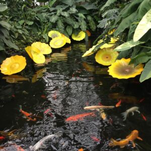 Garfield Park Conservatory, December 13, 2017