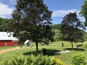 Soldiers Grove, July 3, 2019