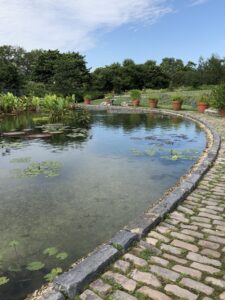 Garfield Park Conservatory, July 22, 2019