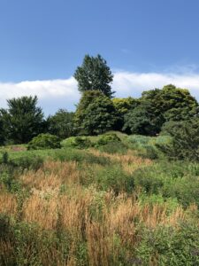 Botanical Gardens, August 3, 2019