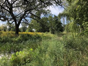 Humboldt Park, August 31, 2019
