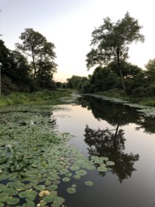 Humboldt Park, September 2, 2019