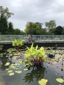 Garfield Park Conservatory, September 25, 2019