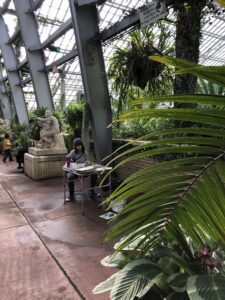 Garfield Park Conservatory, January 16, 2019