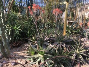 Garfield Park Conservatory, April 25, 2018