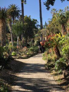 Huntington Gardens California, January 23, 2020