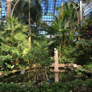 Lincoln Park Conservatory, October 17, 2018