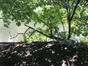 in person remote Horner Park, July 14, 2020