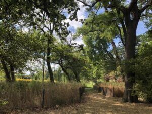 Humboldt Park, August 29, 2020