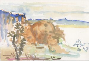 Portia Hein, Joshua Tree, July 25, 2021