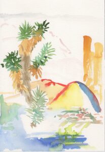 Portia Hein, Joshua Tree, July 25, 2021