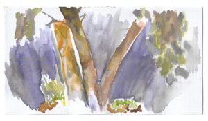 Kindon Mills, Remote Evanston, April 16, 2020