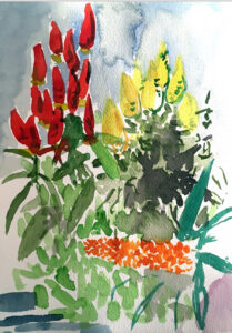 Portia Hein, Huntington Gardens California, January 23, 2020