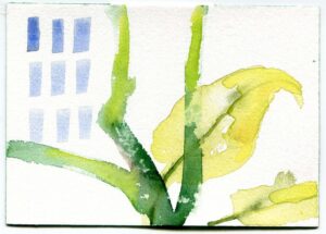 Diane Christiansen, Garfield Park Conservatory, February 28, 2020