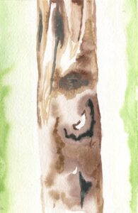 Janet Eliot Zora Marianne Elise, Soldiers Grove, July 3, 2019