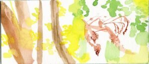 Marieke McClendon, Humboldt Park, August 29, 2020