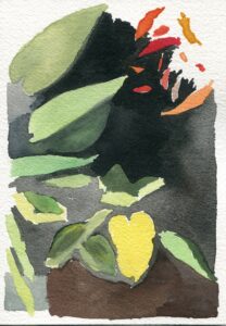 Olivia Schreiner, Garfield Park Conservatory, February 6, 2019
