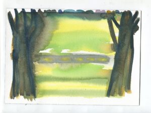 Rana Siegel, Little wolf Wisconsin, August 23, 2019