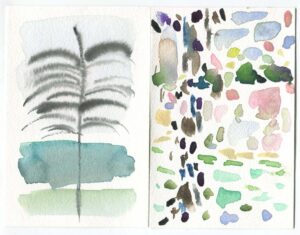 Judd Morrisey, Little wolf Wisconsin, August 24, 2019