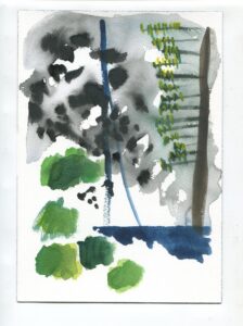 Rana Siegel, Little wolf Wisconsin, August 23, 2019