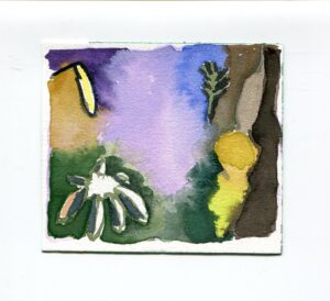 Diane Christiansen, Garfield Park Conservatory, February 28, 2020
