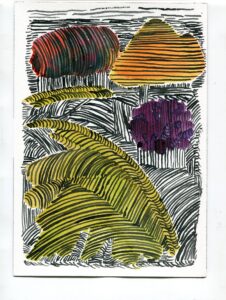 Matthew Girshon, Garfield Park Conservatory, October 23, 2019
