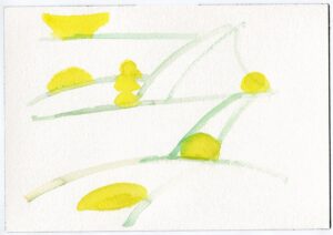 Portia Hein, Huntington Gardens California, January 23, 2020