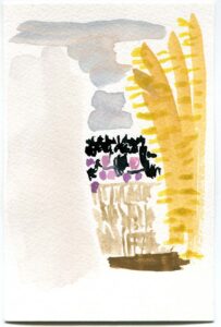 Deb Sokolow, Garfield Park Conservatory, January 16, 2019