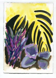 Deb Sokolow, Garfield Park Conservatory, January 16, 2019