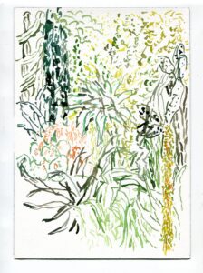 Matthew Girshon, Garfield Park Conservatory, October 23, 2019