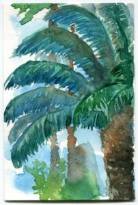 Mel Cook, Garfield Park Conservatory, January 9, 2020