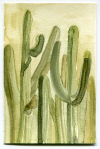 Nazafarin Lofti, Tucson Saguaro National Monument Arizona, February 20, 2020