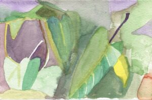 Olivia Schreiner, Garfield Park Conservatory, February 6, 2019