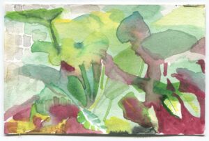 Olivia Schreiner, Garfield Park Conservatory, February 6, 2019