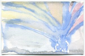 Olivia Schreiner, Garfield Park Conservatory, February 6, 2019