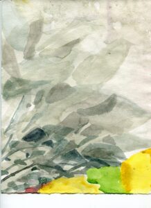 Olivia Schreiner, Garfield Park Conservatory, February 6, 2019