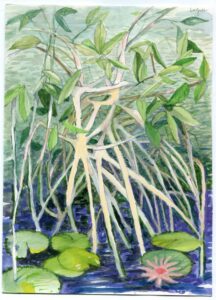 Trinita Logue, Lincoln Park Conservatory, October 17, 2018