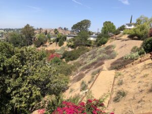 Eagle Rock Patio, July 22, 2021