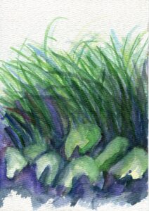 Gwendolyn Zabicki, Humboldt Park, June 24, 2021
