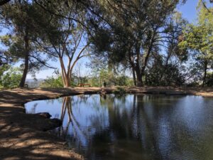 Debs Park LA, March 11, 2022