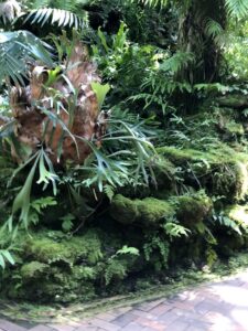 Garfield Park Conservatory, May 4, 2022