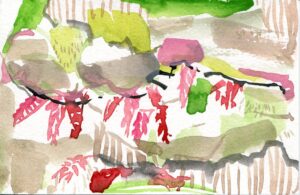 Portia Hein, Garfield Park Conservatory, May 4, 2022