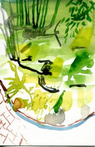 Portia Hein, Garfield Park Conservatory, May 4, 2022