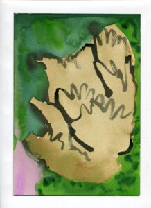 Portia Hein, Garfield Park Conservatory, May 4, 2022