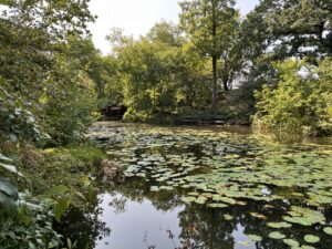 Caldwell Lily Pool, September 15, 2022
